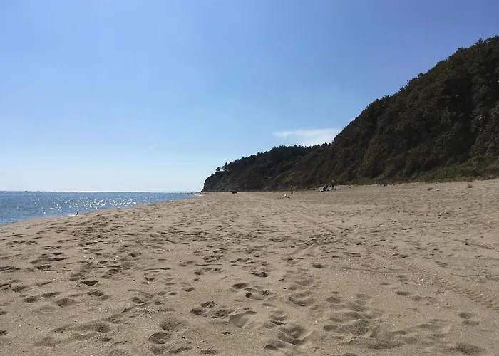 Zornica In Guest house